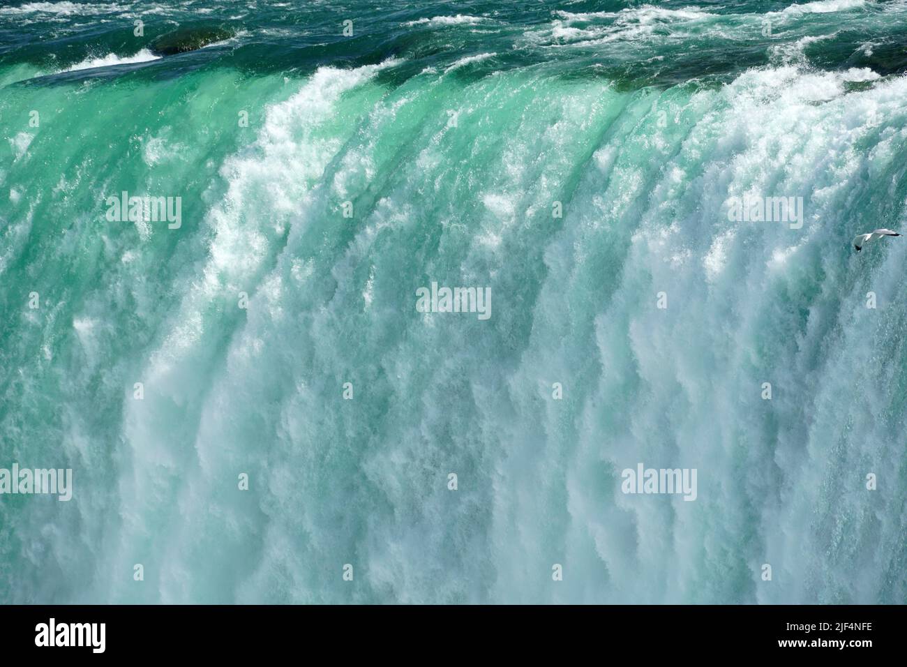 Horseshoe Falls, Chutes du FeràCheval, Niagara Falls, les Chutes du Niagara, Canada, USA