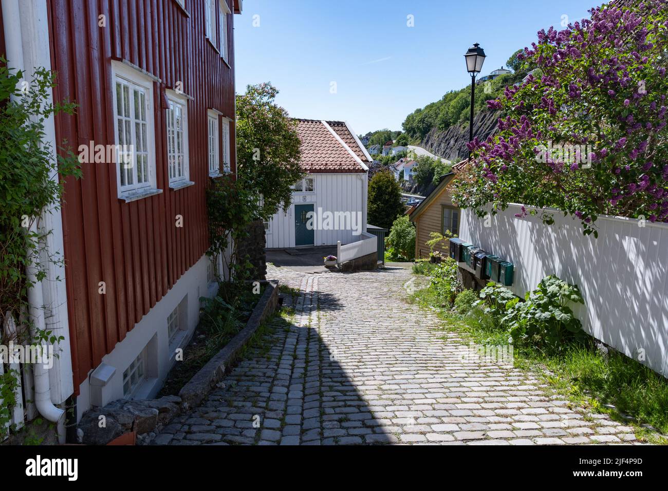 Colorful homes on a hillside in Arendal's old town Stock Photo Alamy
