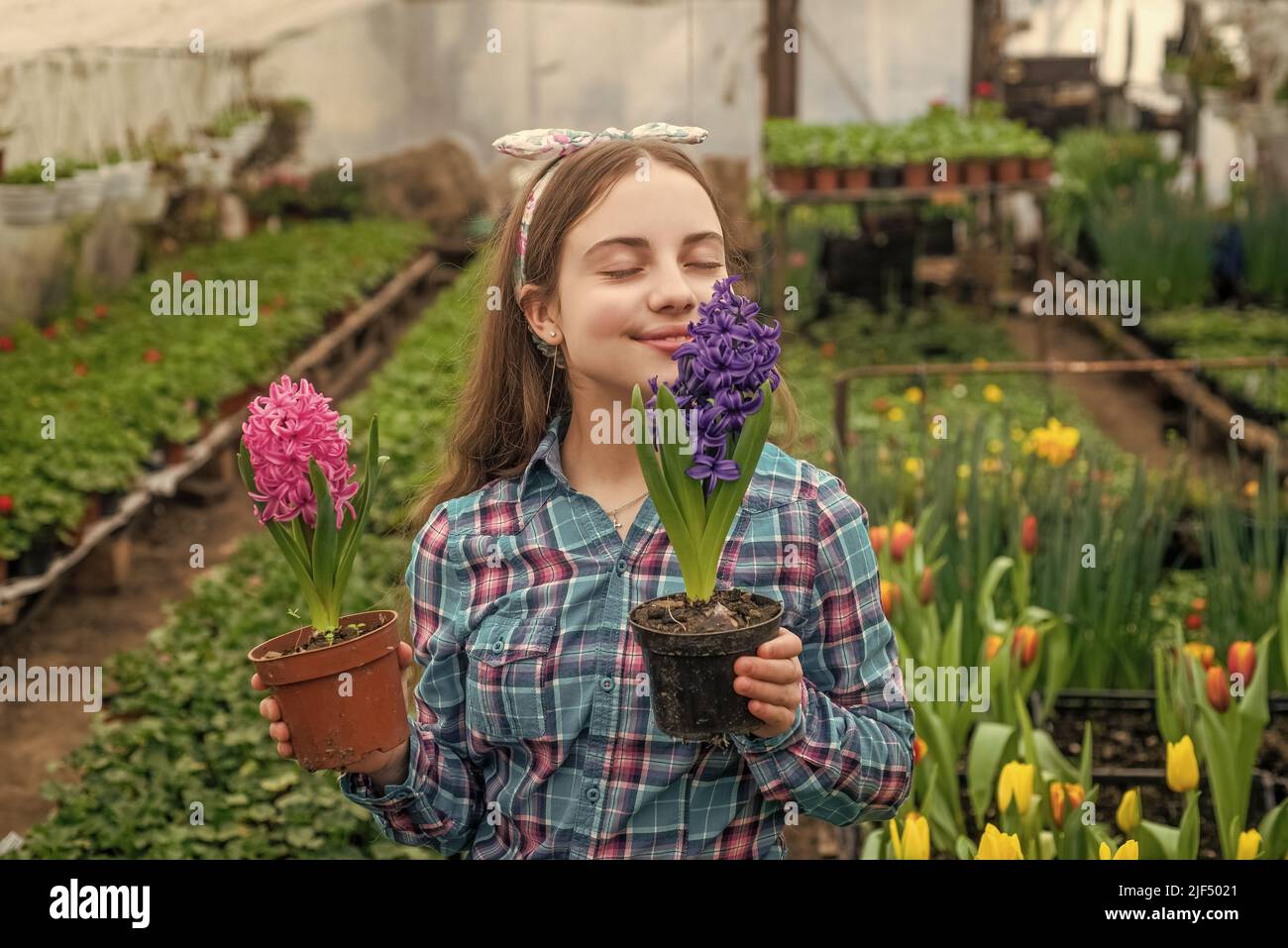 happy teen girl florist care pot plants in greenhouse, eco Stock Photo ...