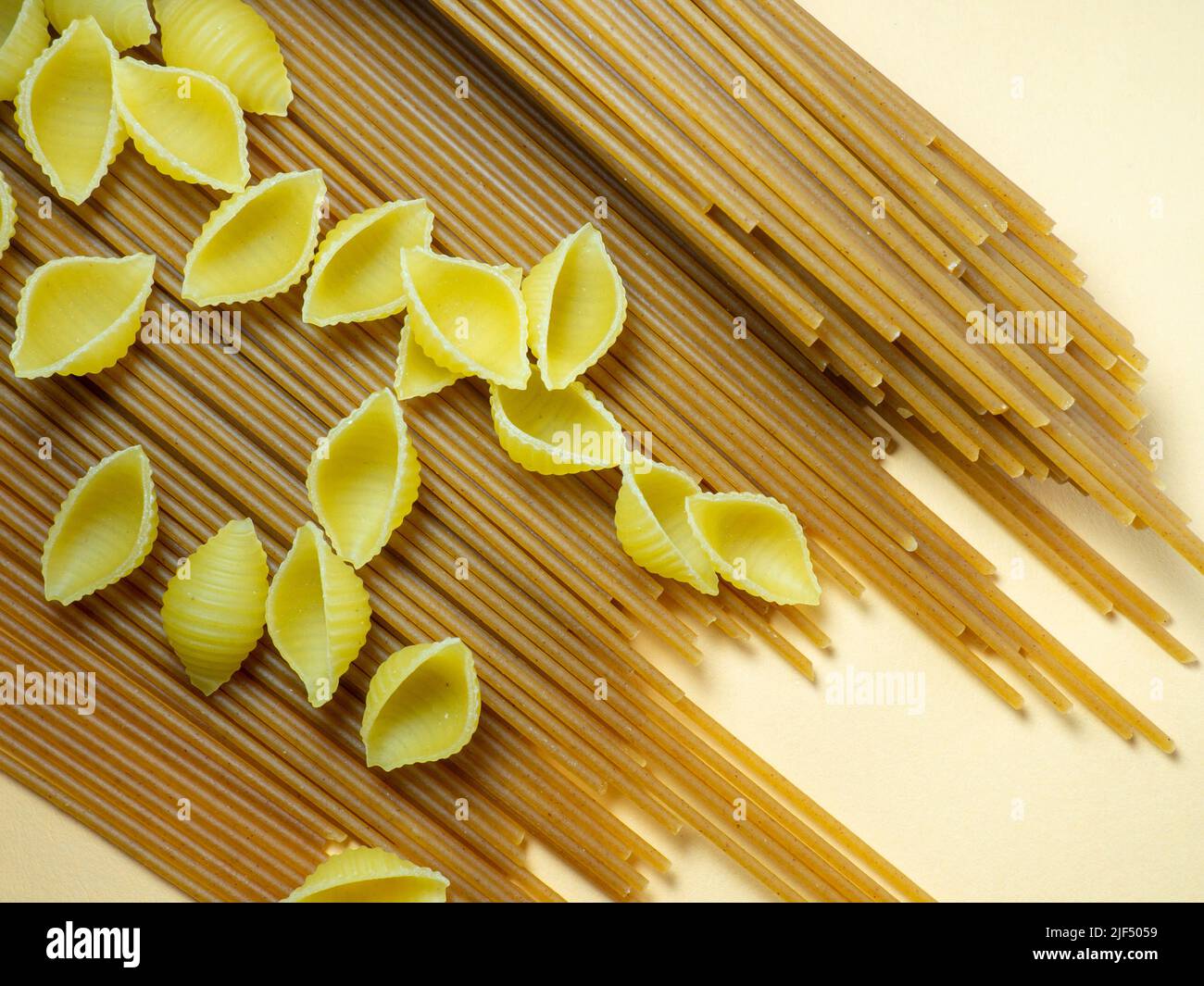 Assortment shells table hi-res stock photography and images - Alamy