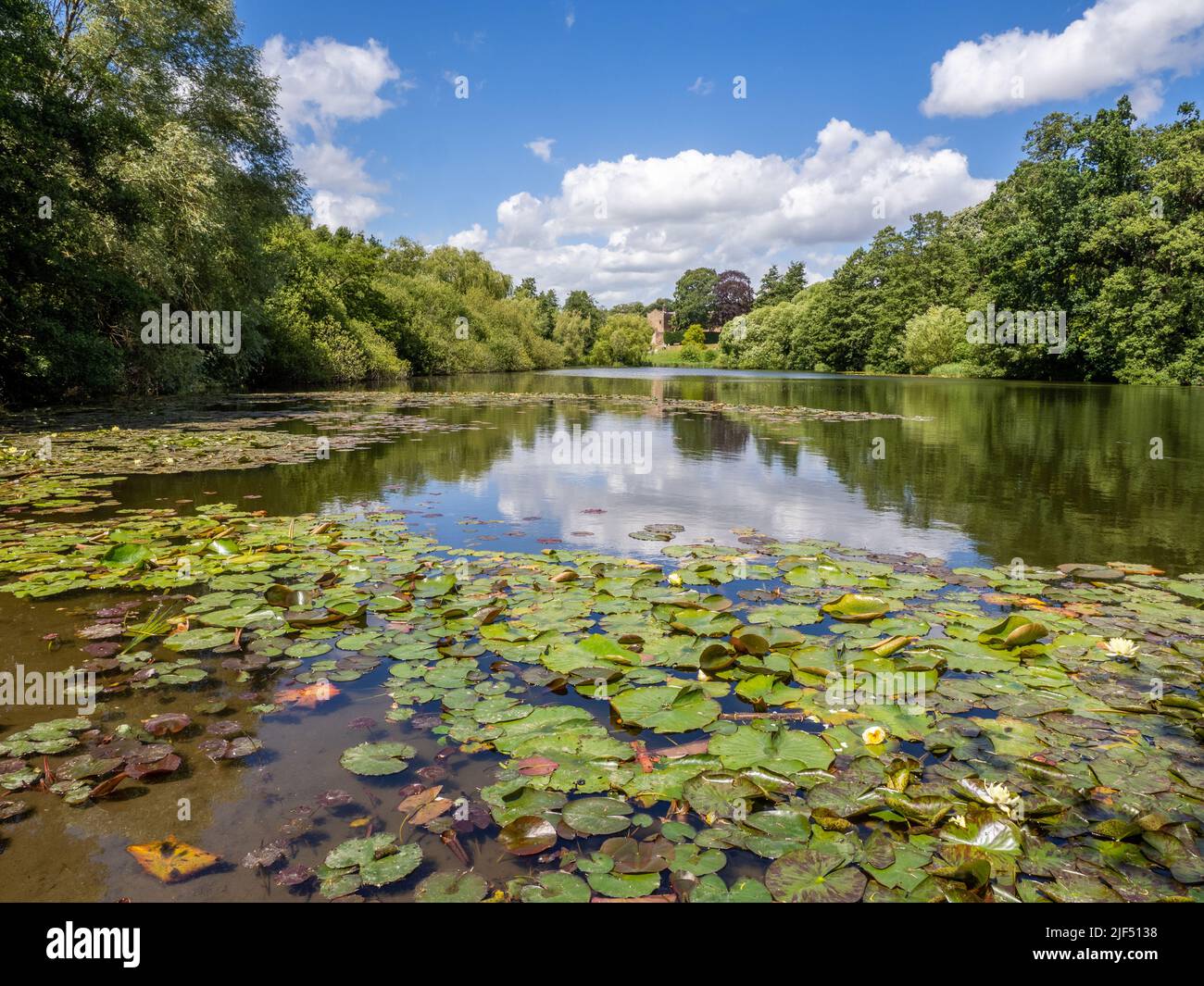 The Garden Lake at Newstead Abbey in Nottinghamshire UK fringed with water lilies Stock Photo