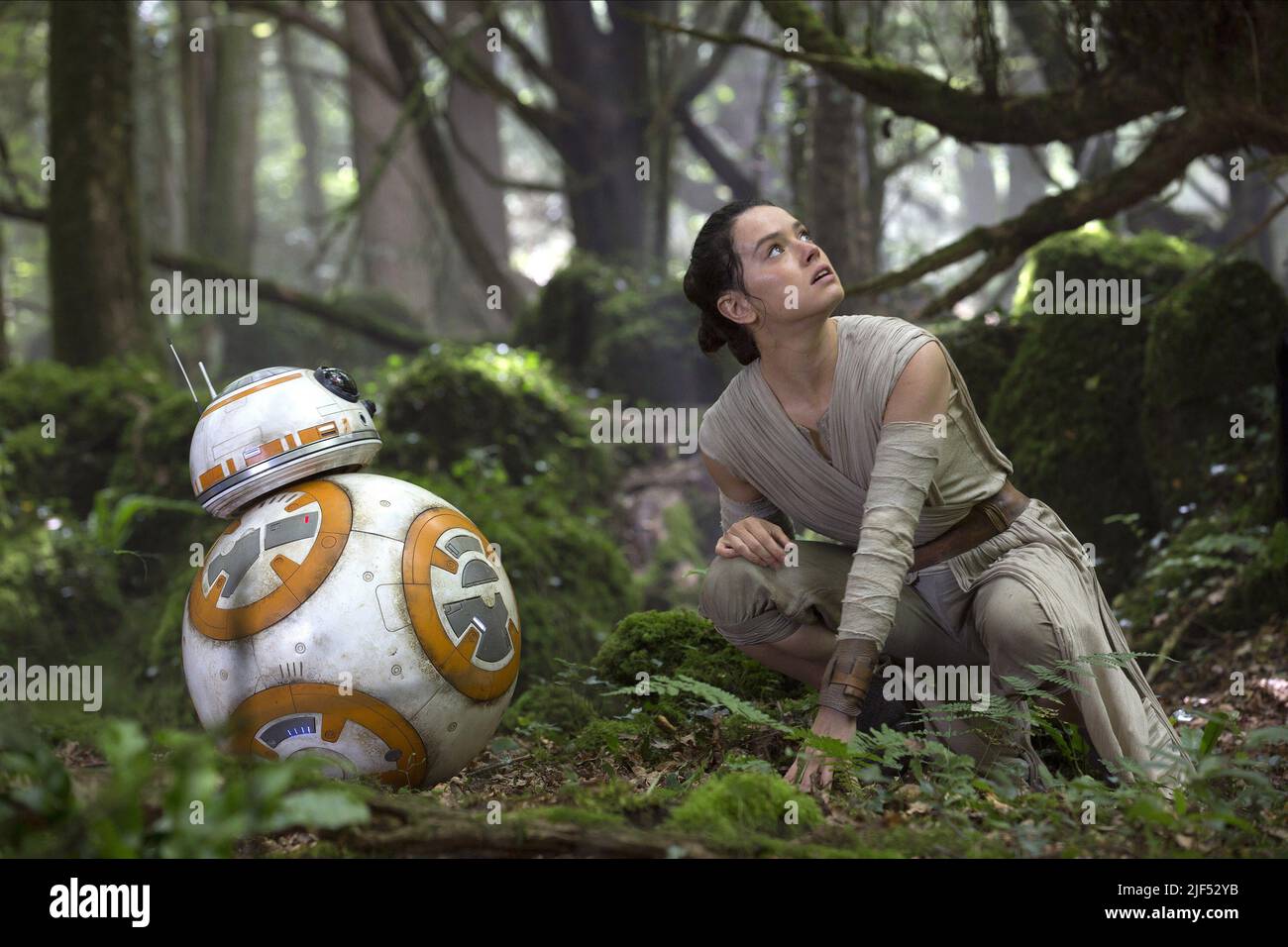 DROID,RIDLEY, STAR WARS: EPISODE VII - THE FORCE AWAKENS, 2015 Stock Photo