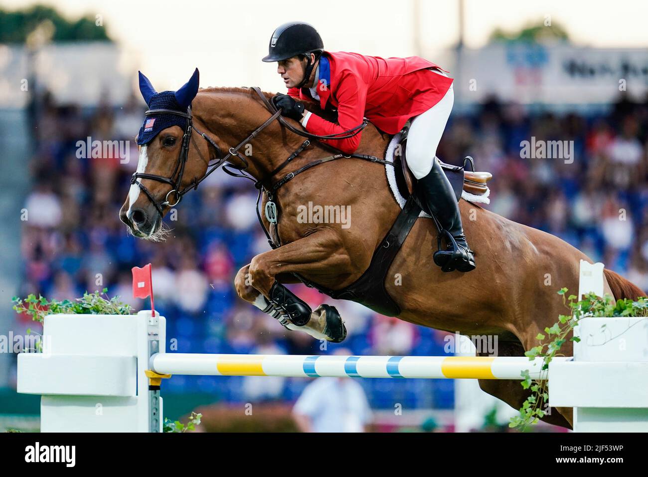 horse jumping live