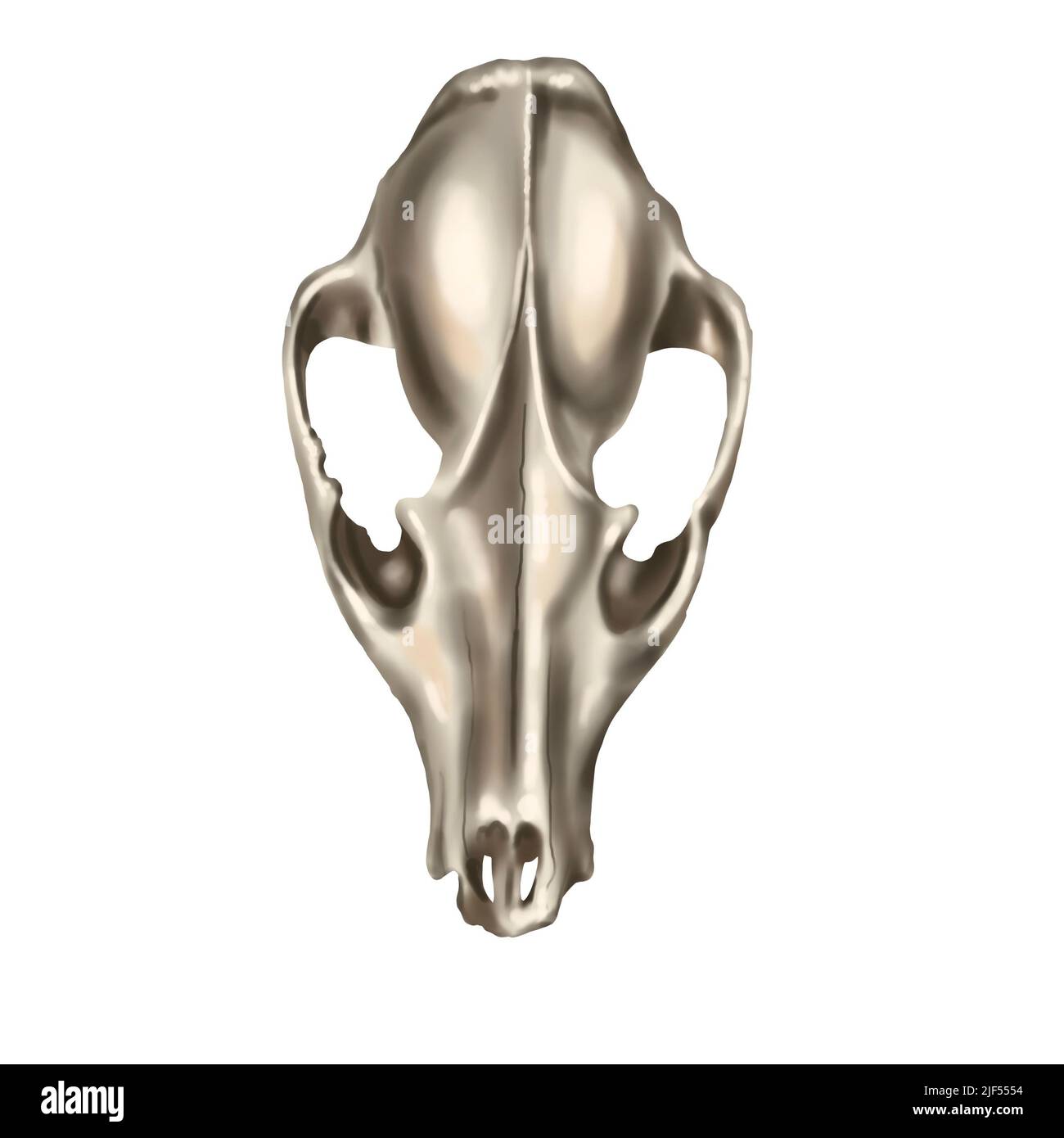 ANIMAL SKELETON & Skull Realistic Bones Scary Halloween Party Props Decorations £4.95 - UK