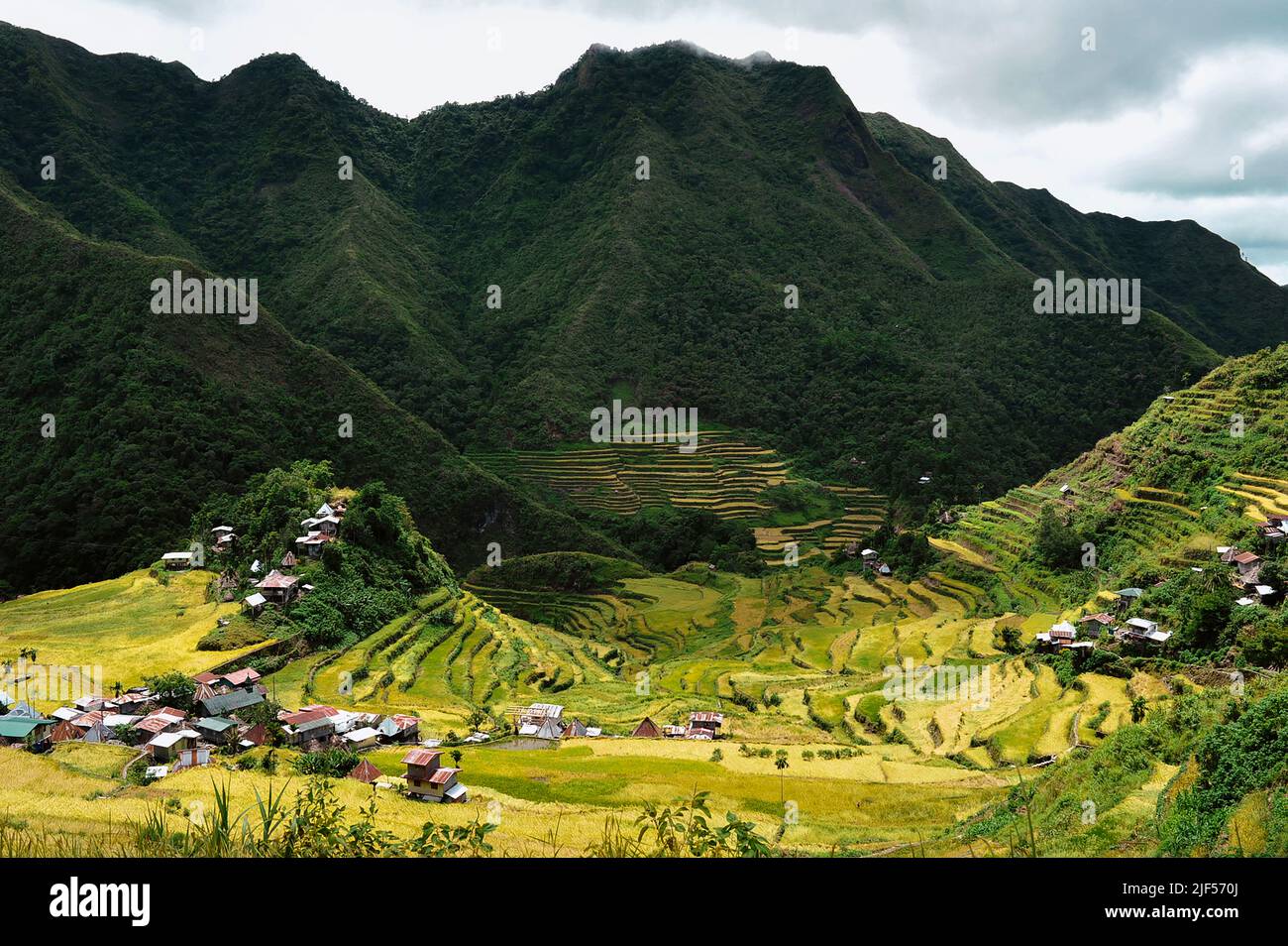 Mountain Province, Philippines: majestic agricultural landscape of the ancient amphitheater Banaue Rice Terraces. Dubbed Eighth Wonder of the World. Stock Photo
