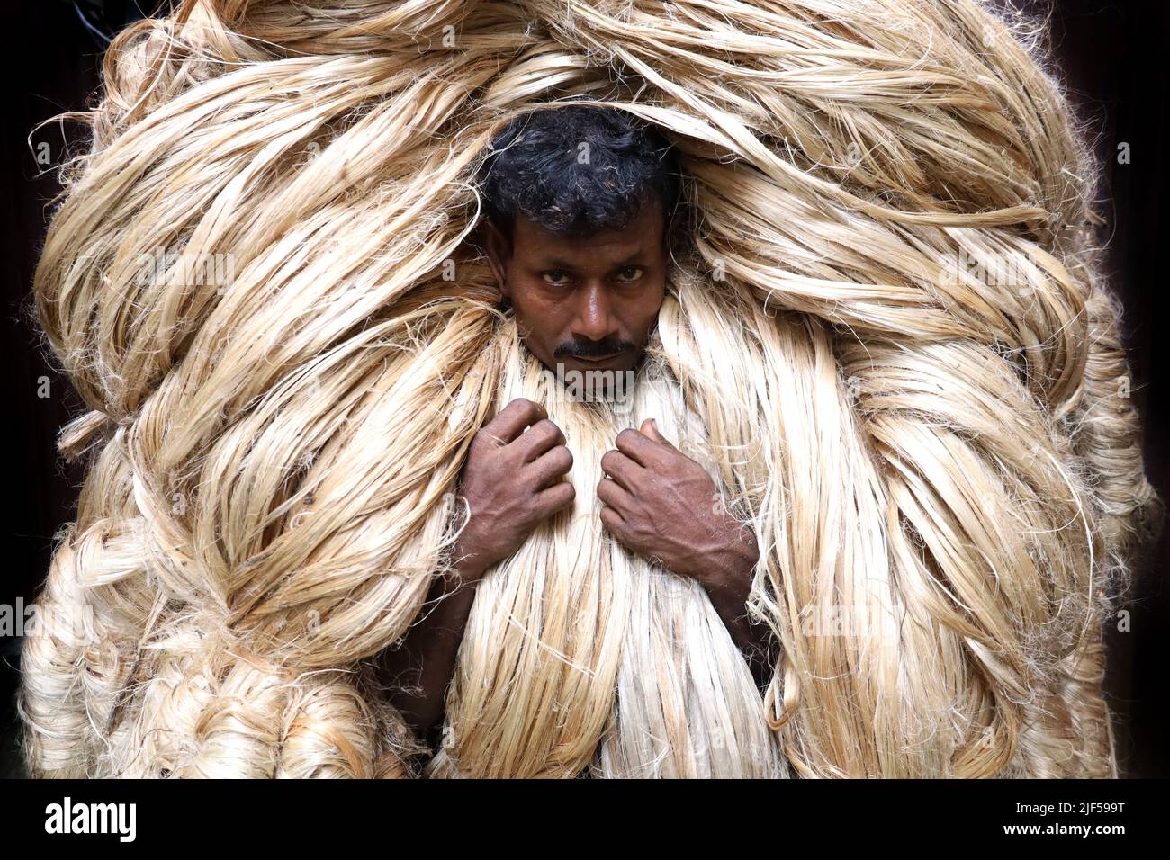 Manikgonj, Bangladesh. 29th June, 2022. A man is carrying a load of jute  weighing 50 kg on his head. Bangladesh is the second largest producer of  jute in the world. Jute is