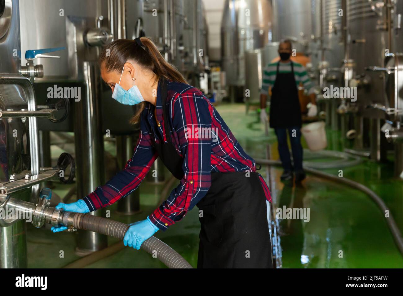 Female worker works at winery, filtering wine in barrels Stock Photo