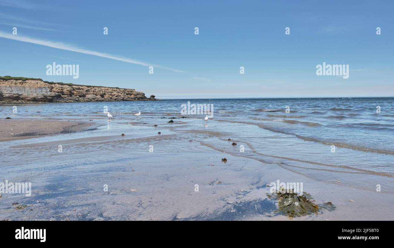 Photograph of Florence Beach in Cape Breton Nova Scotia at low tide.  Nova Scotia is known for its mant beautiful beaches. Stock Photo