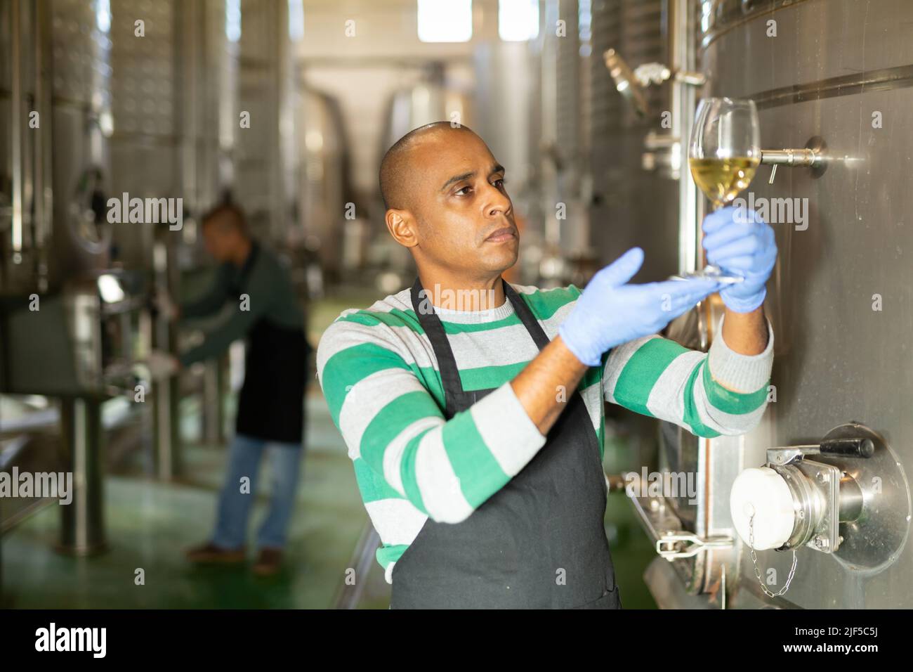Latin american winemaker inspecting quality of wine at winery Stock