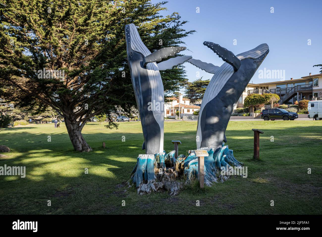 Humpback whale statue along the bike path in Monterey CA Stock Photo