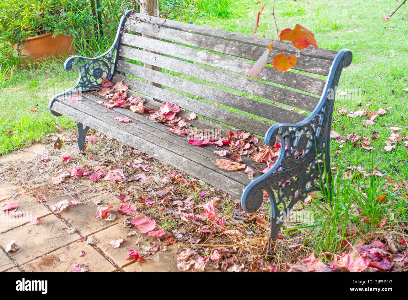 Cast iron and timber garden bench in  autumn. Stock Photo