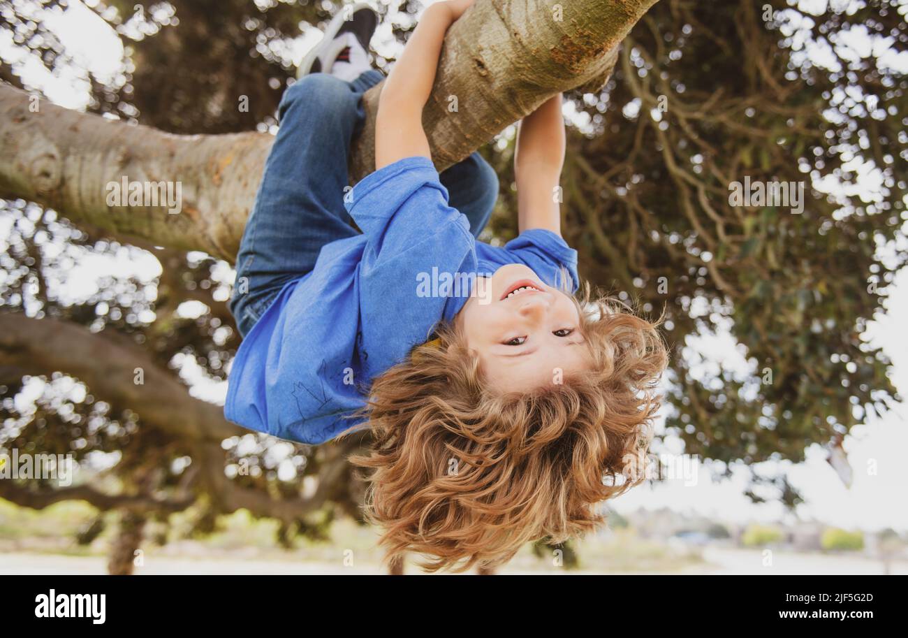 Kids climbing trees, hanging upside down on a tree in a park. Child protection. Stock Photo