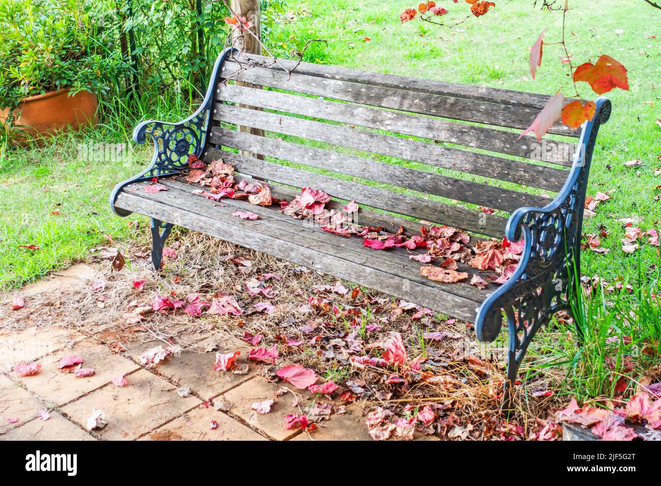 Cast iron and wood garden bench in autumn. Stock Photo