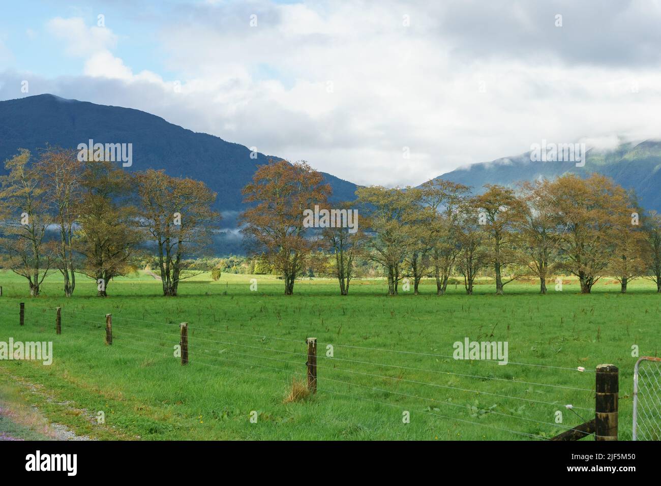 Rural landscape with fence, hedge row and mountain backdrop of Southern Alps in South Island new Zealand. Stock Photo