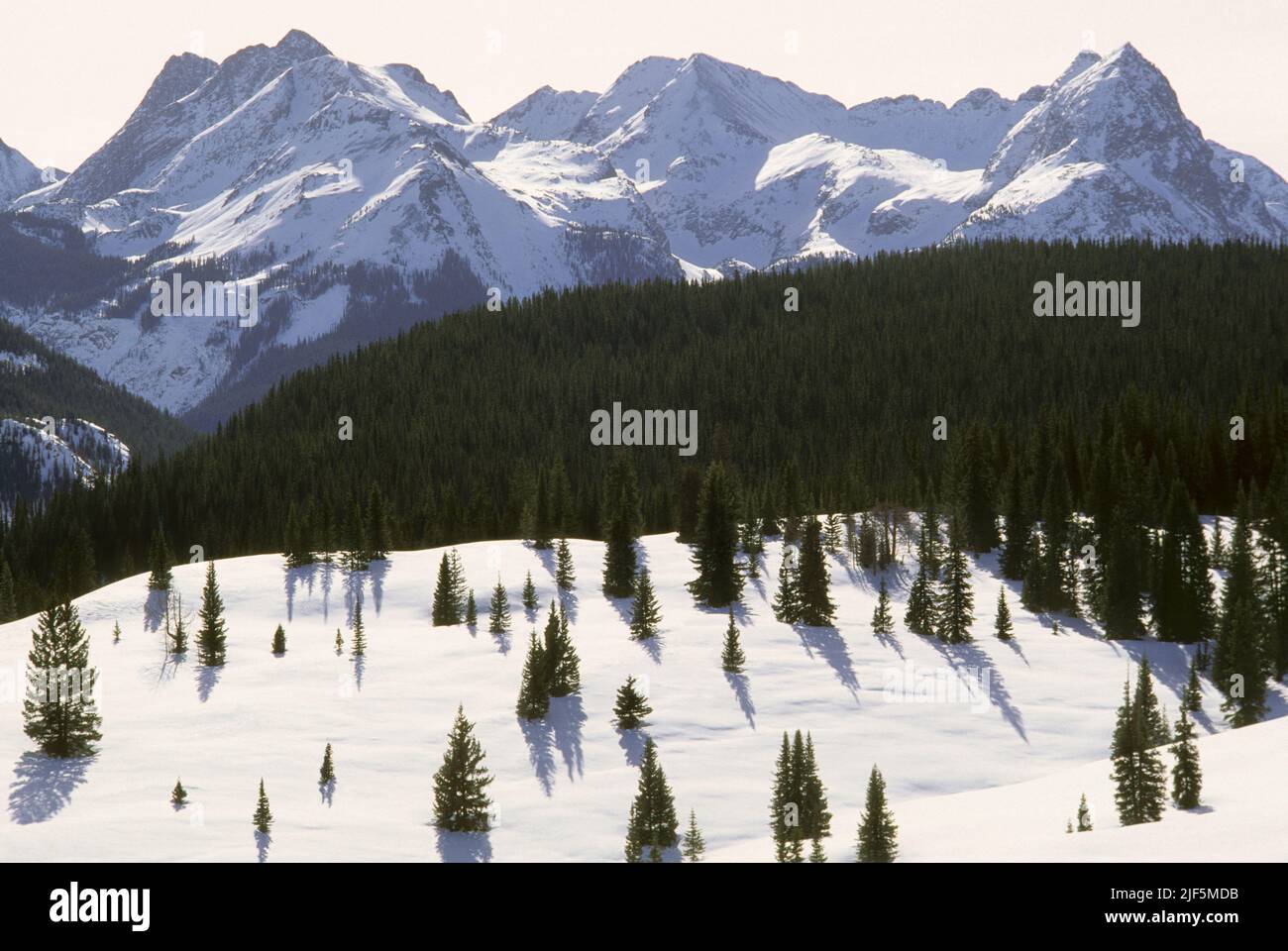 Colorado san juan national forest hi-res stock photography and images ...