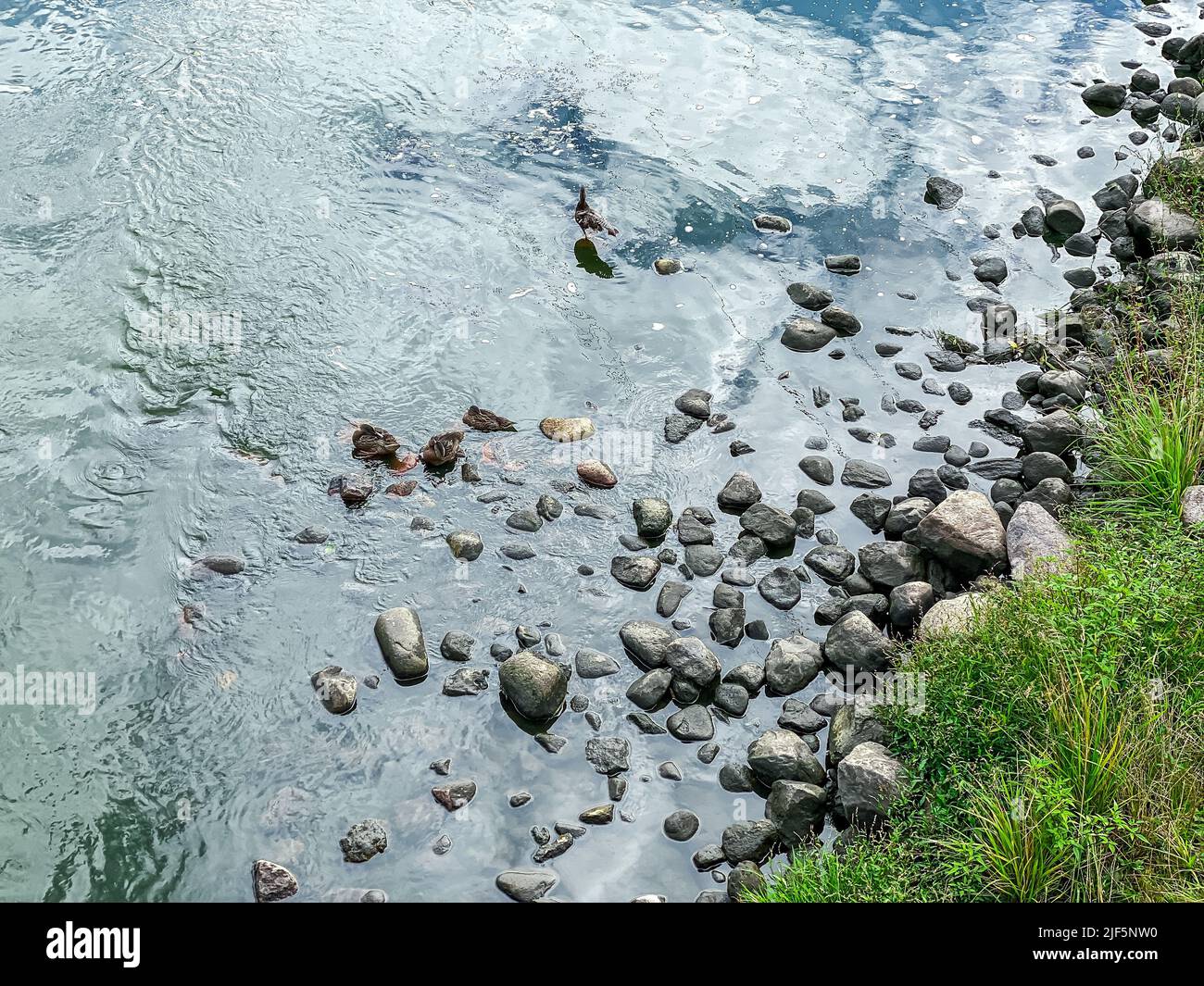 riverbank with gray wet stones and pebbles. cloudy sky reflections in water surface. view from above. Stock Photo