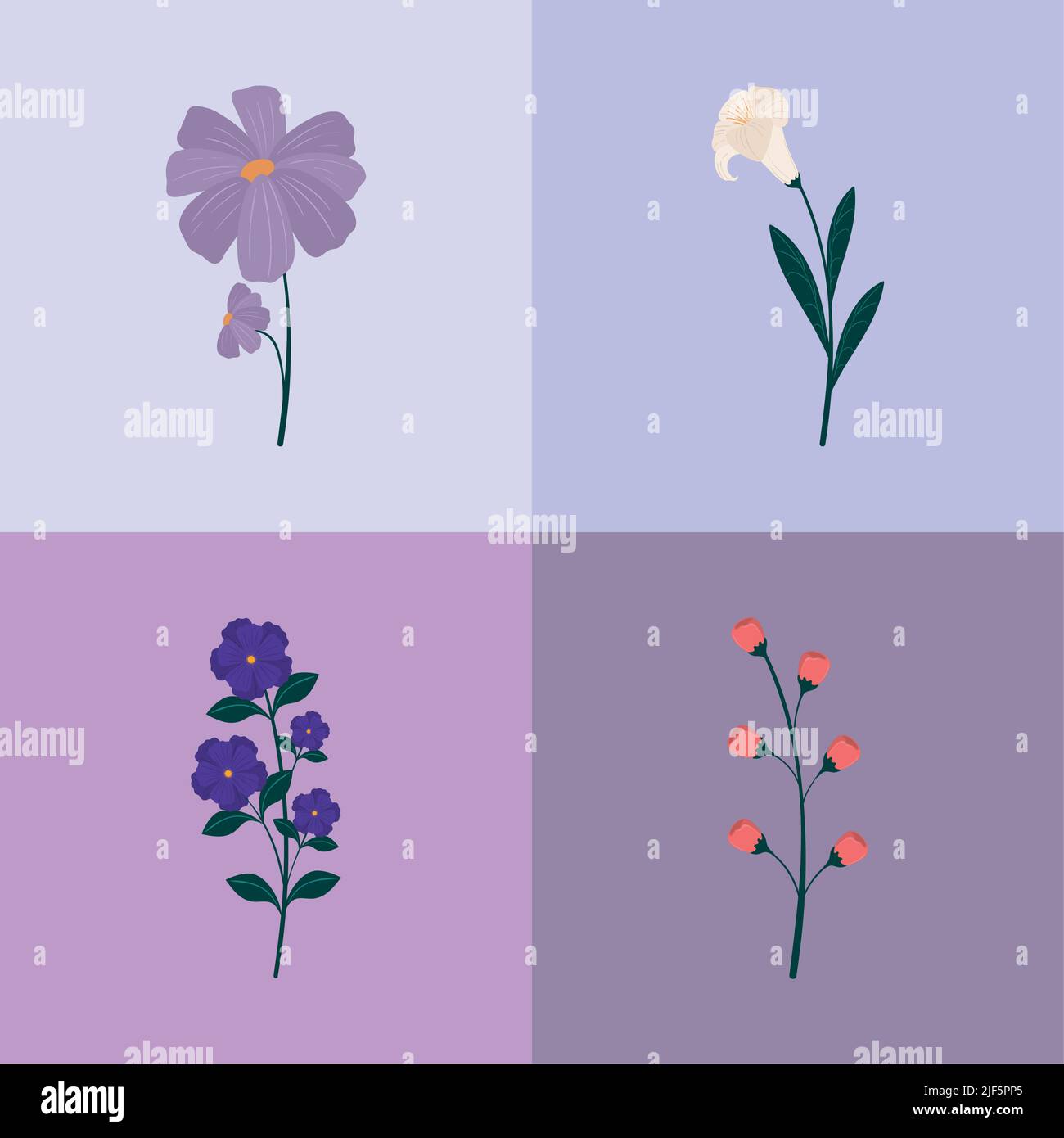 set of flowers leaves Stock Vector Image & Art - Alamy