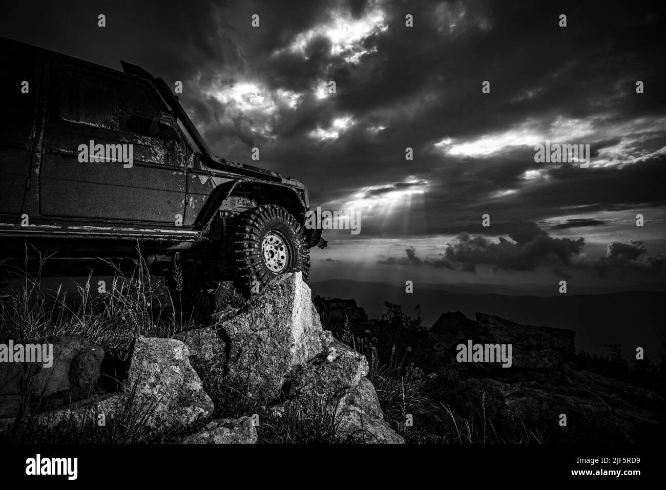 Extreme off road tour in a forest. Truck car wheel on offroad steppe