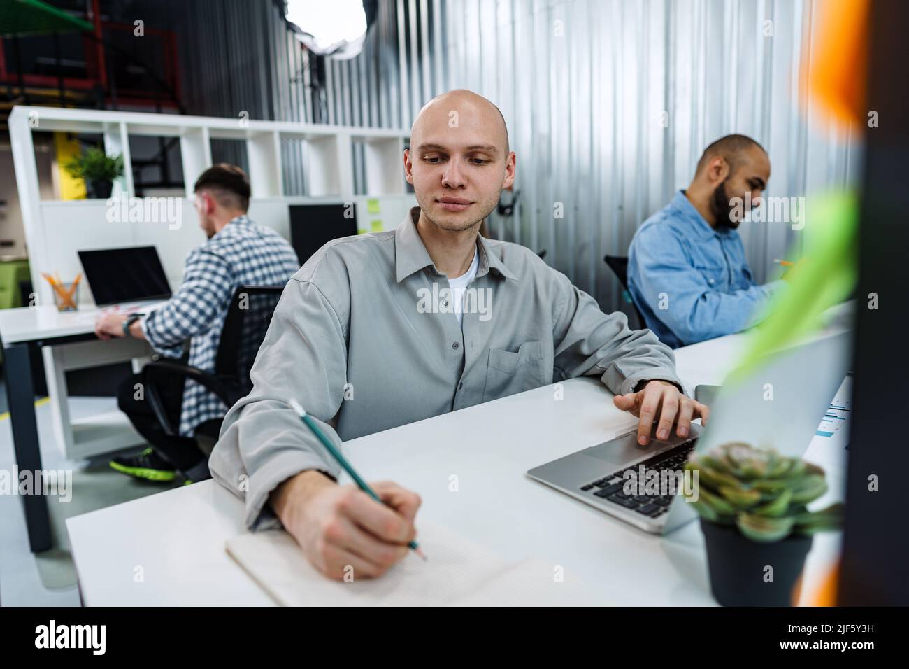 Young bald business man sitting at desk in office, working on computer Stock Photo