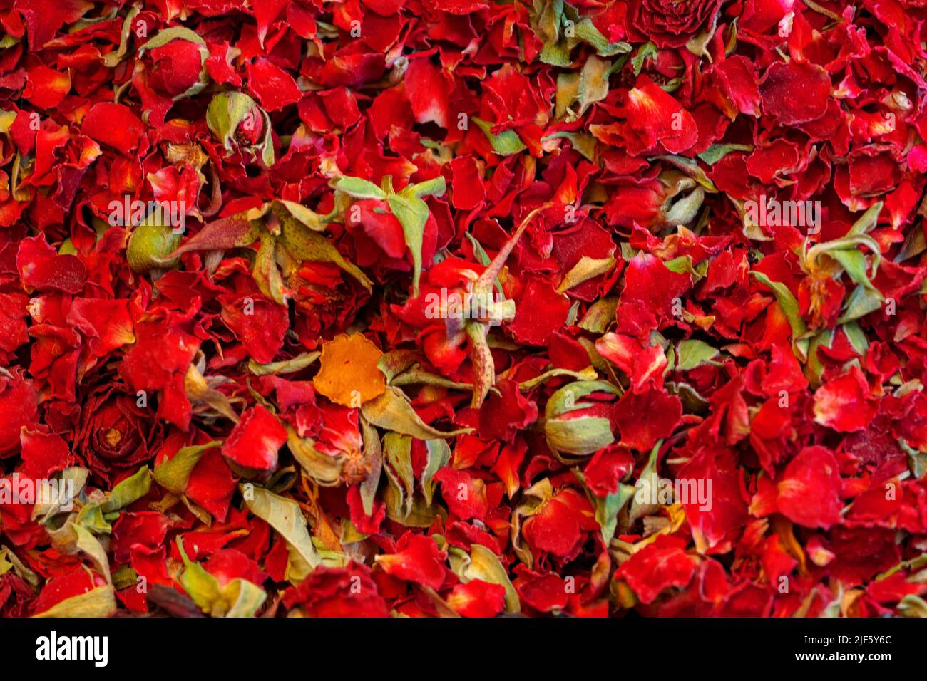 Macro close up background texture of dry rose petals Stock Photo