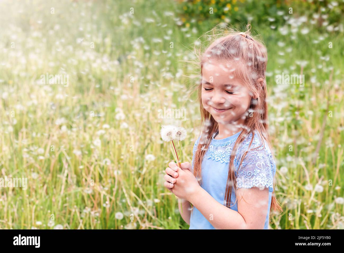 Cute girl with a bouquet of white dandelions and flying seeds against a ...
