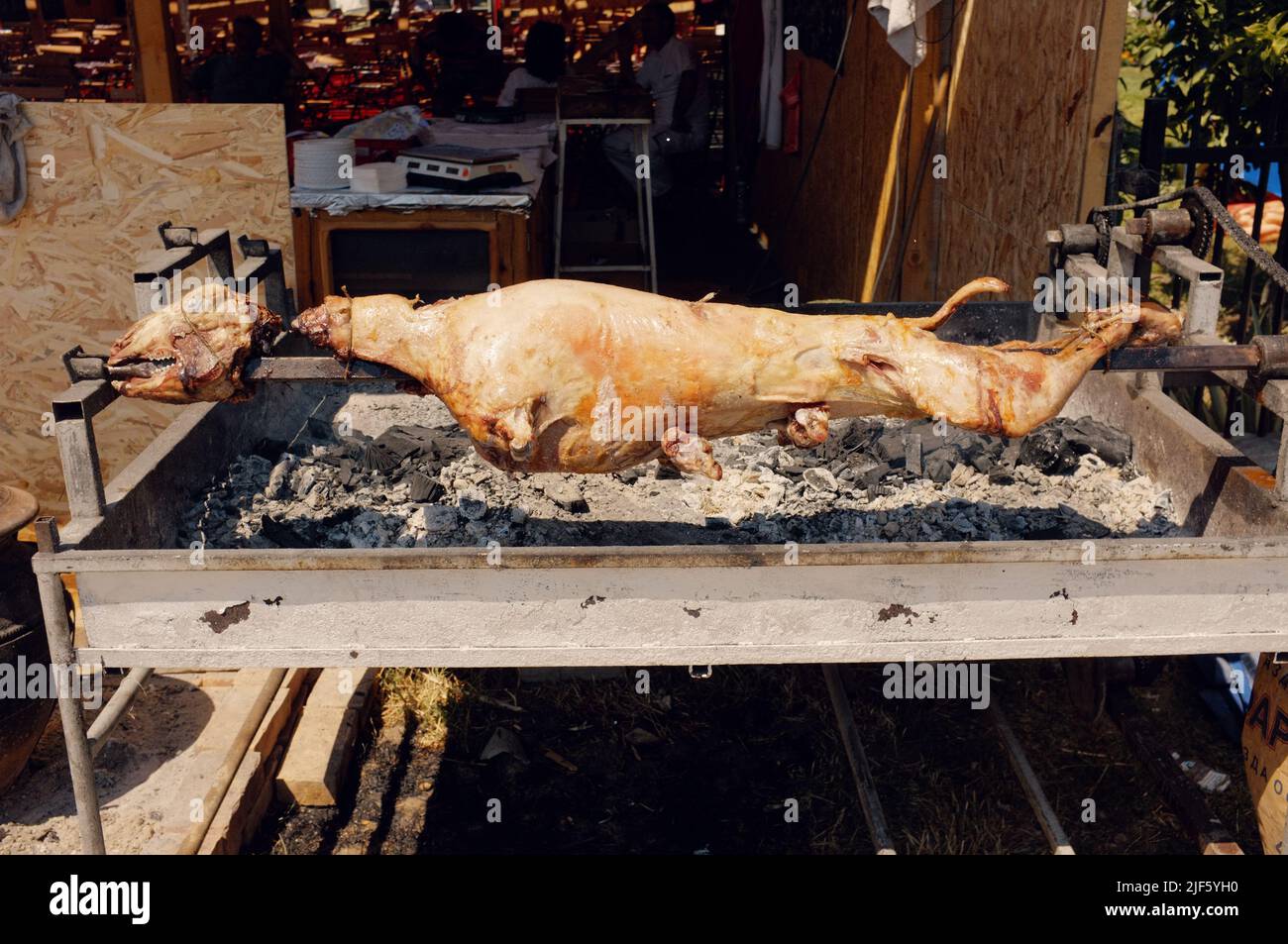 pork and sheep whole roasting on spit at the Guca Trumpet Festival in Serbia Stock Photo
