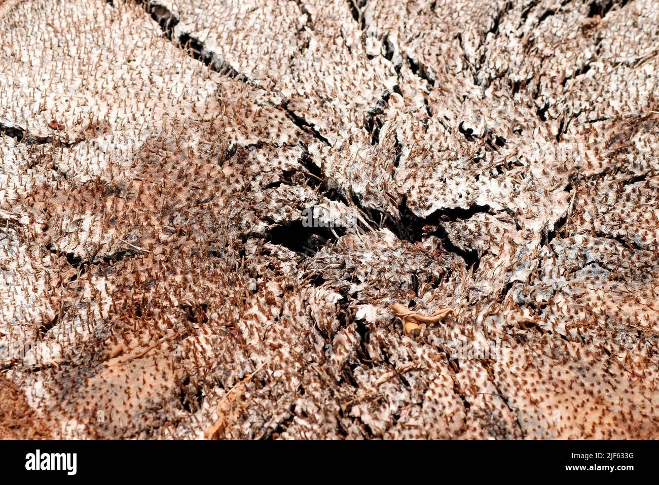 Grungy landscape hi-res stock photography and images - Alamy