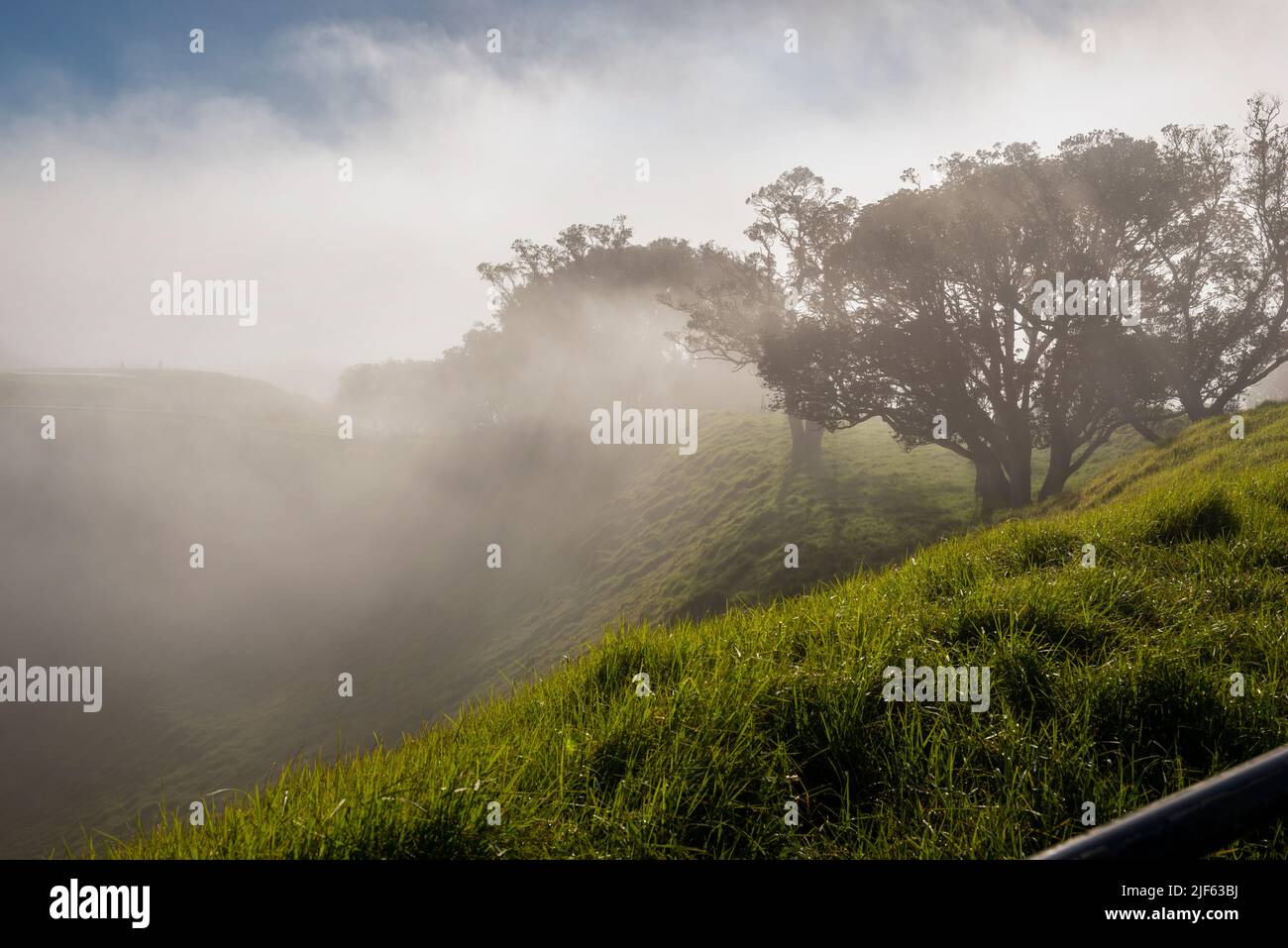 Thick fog drifting over volcanic crater at Mt Eden summit. Sunrays coming through the trees, Mt Eden,  Auckland Stock Photo