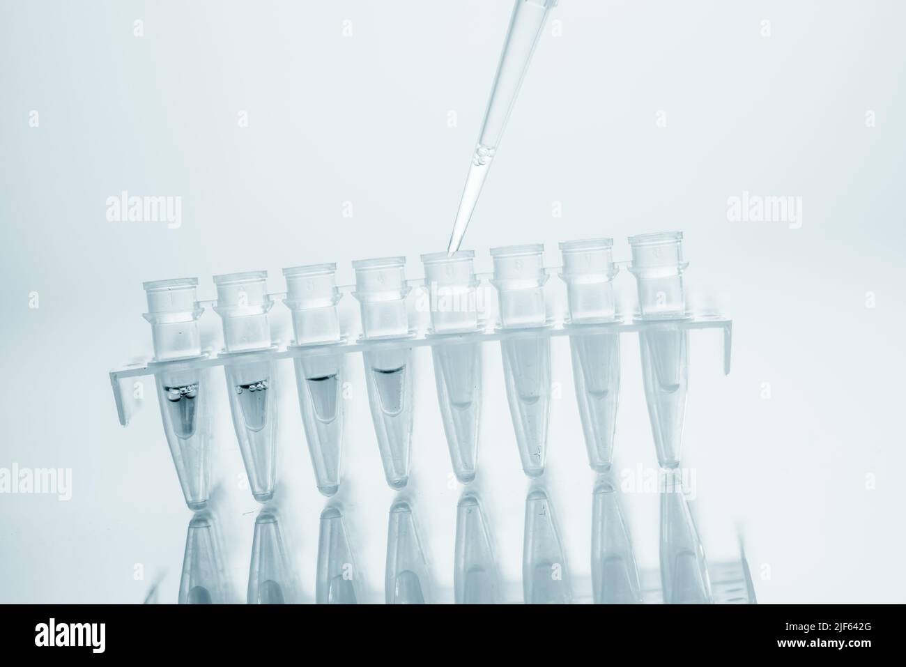 PCR Tube Strips Well  and Pipette in genetic research laboratory close up Stock Photo
