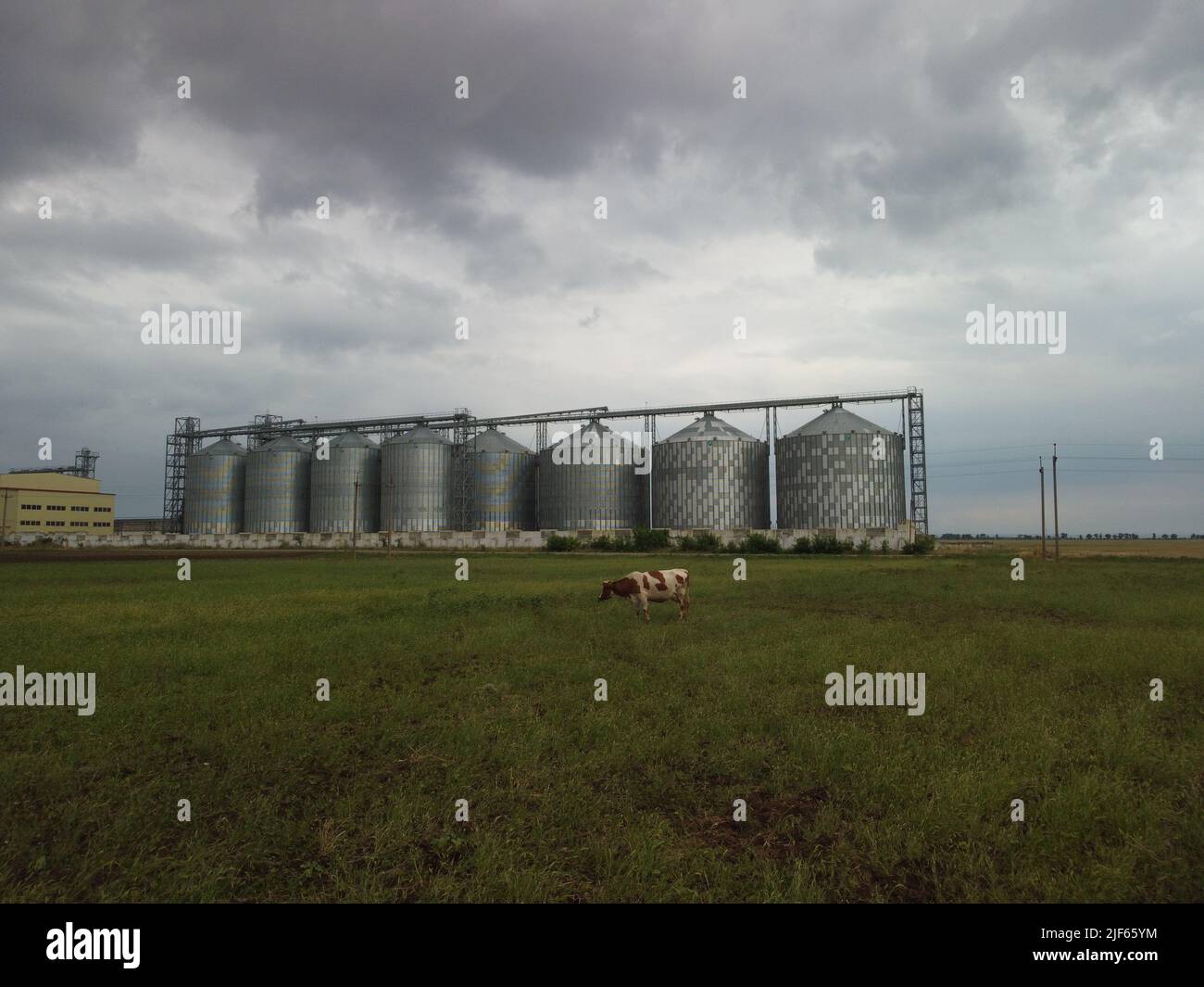 Grain elevator. Metal grain elevator in agricultural zone. Agriculture