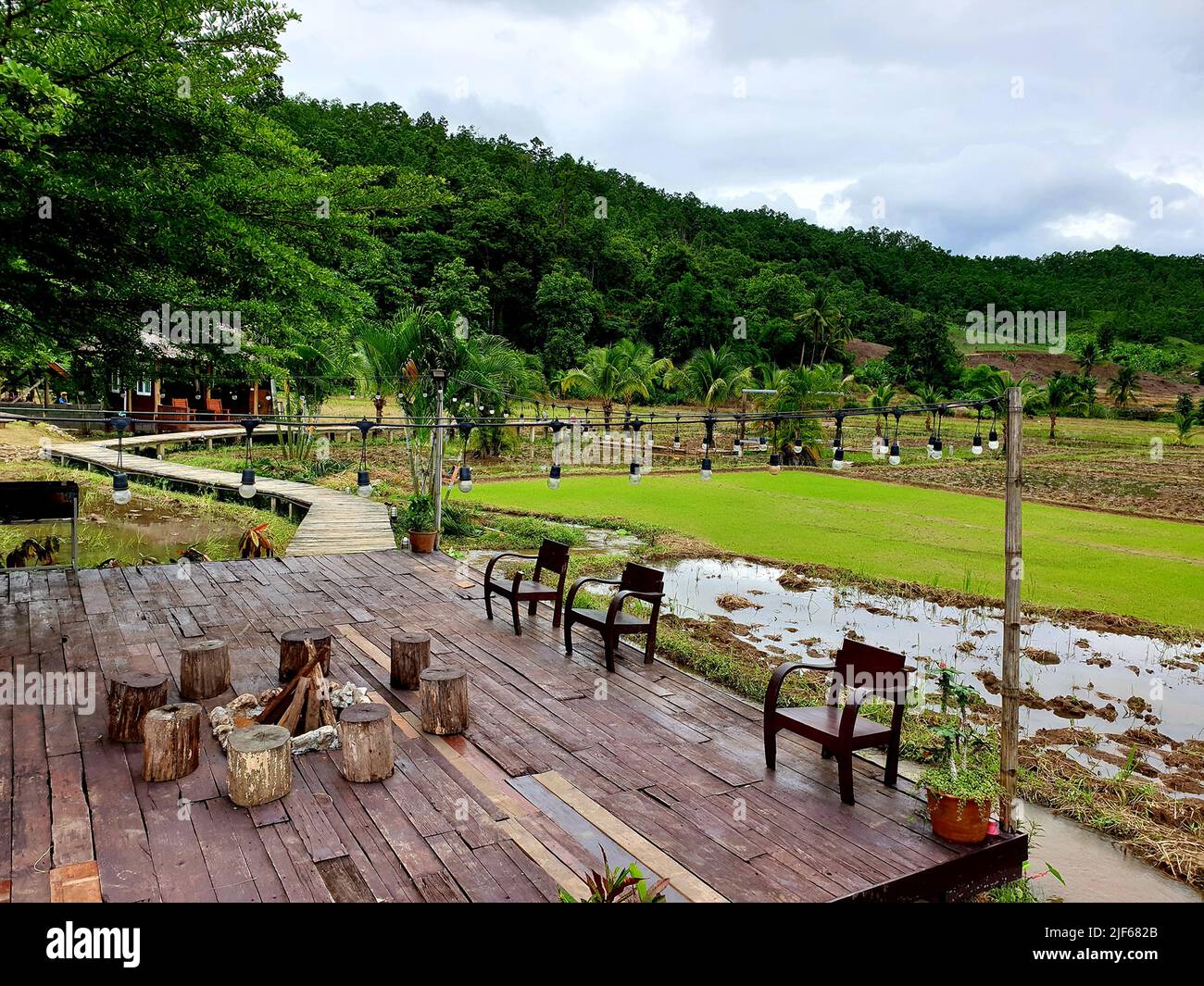 Ecology cafe in nature trend. wooden hut in rice field near stream. cafe in rice field Stock