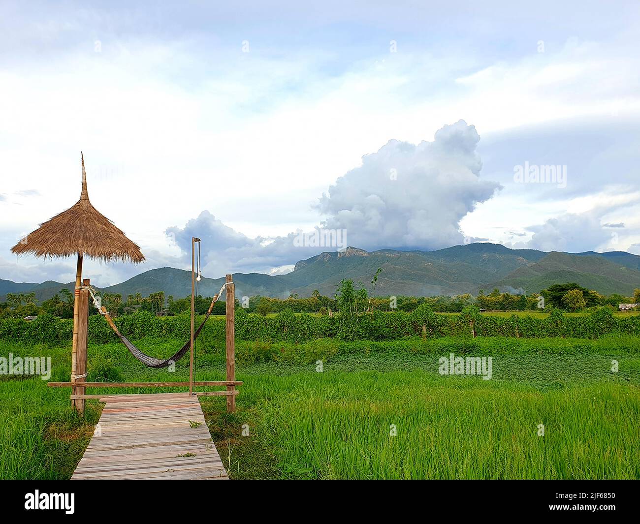 Ecology cafe in nature trend. wooden hut in rice field near stream. cafe in rice field. Stock Photo