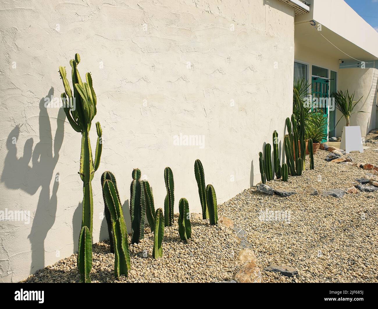 Cafe inside The Greenhouse with cacti and exotic plants Stock Photo