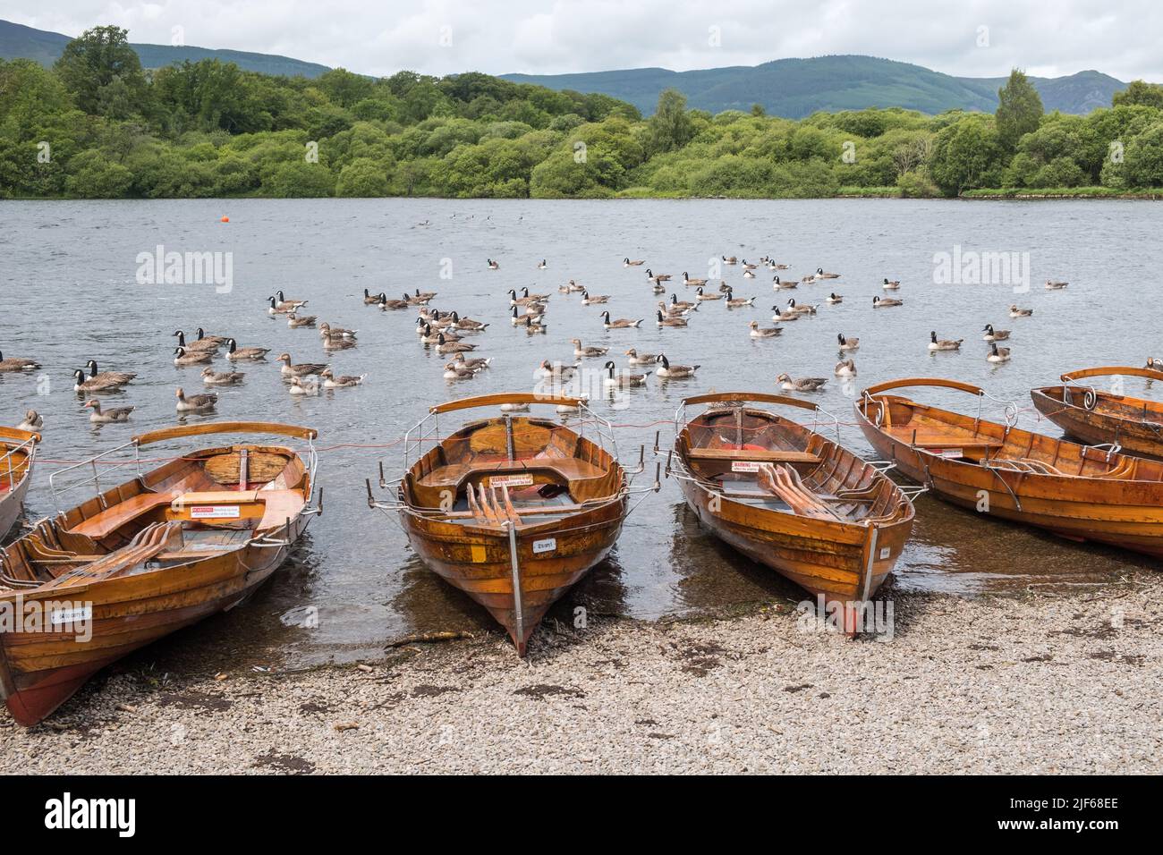 Wooden rowing boats for hire line the shore of Derwent Water at Keswick