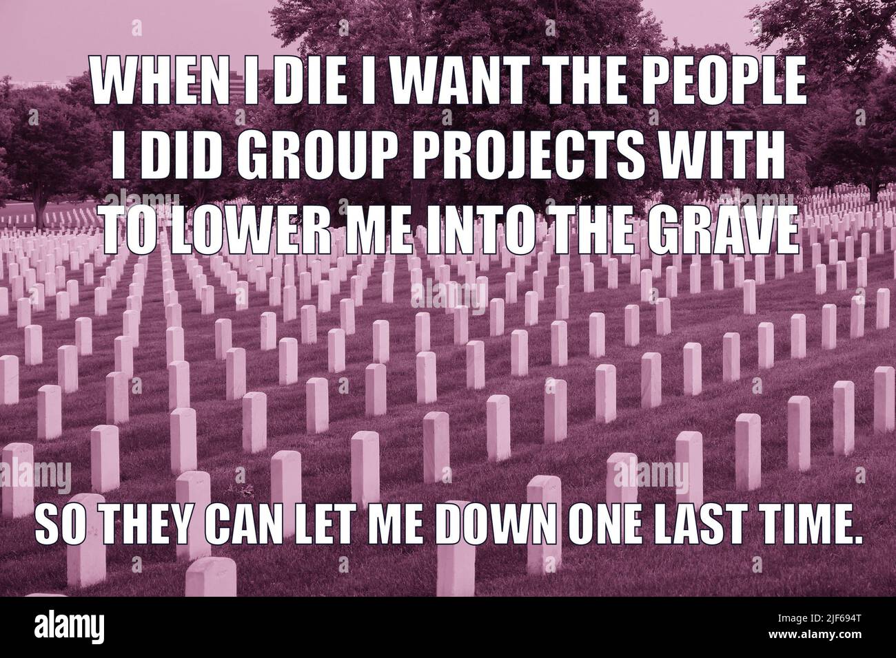 Group project and cemetery dark humor funny meme for social media sharing. Black humor about group project teamwork. Stock Photo