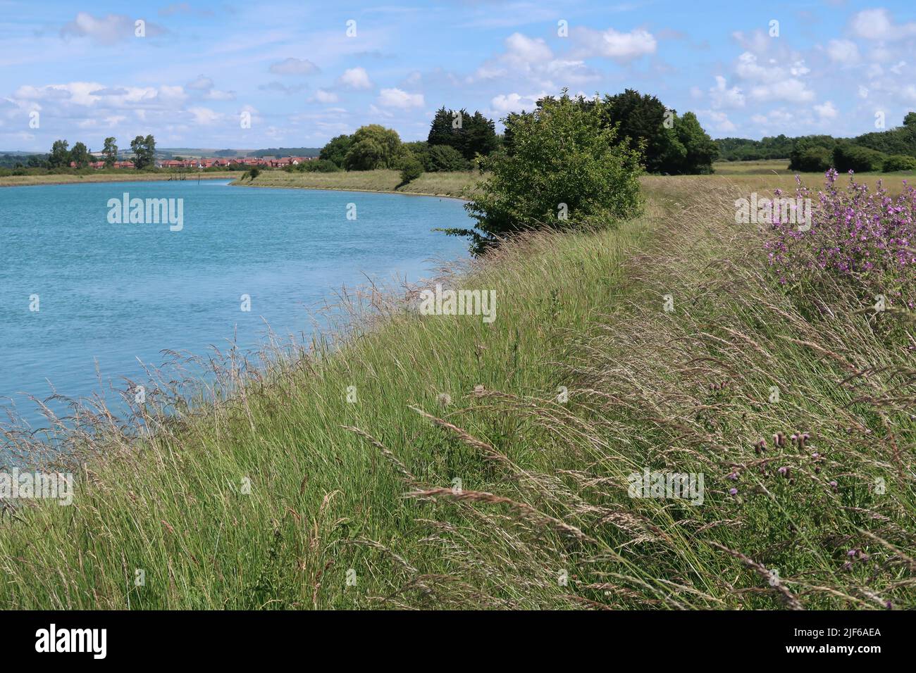 The banks of the River Arun, near Ford West Sussex. Shows wild flowers next to the footpath and new housing in Littlehampton in the distance Stock Photo