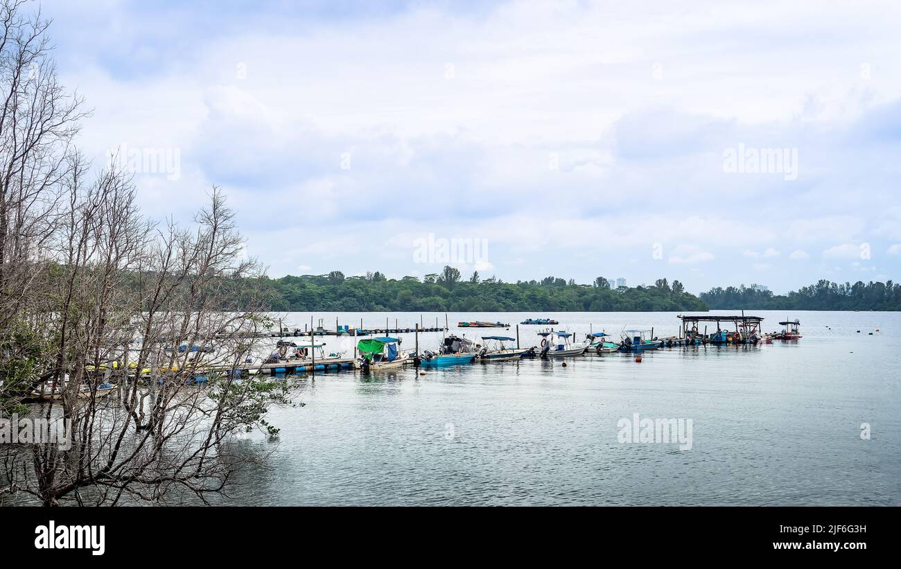Jenal Jetty at Seletar Fishing Village. Singapore's Last Fishing