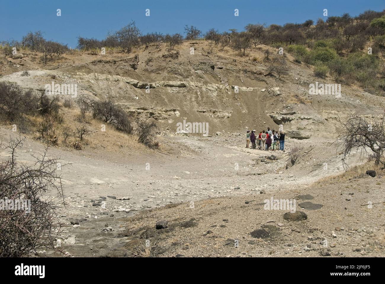 Frida Leakey Korongo site in Oldupai Gorge, Tanzania, where Marey leaky ...