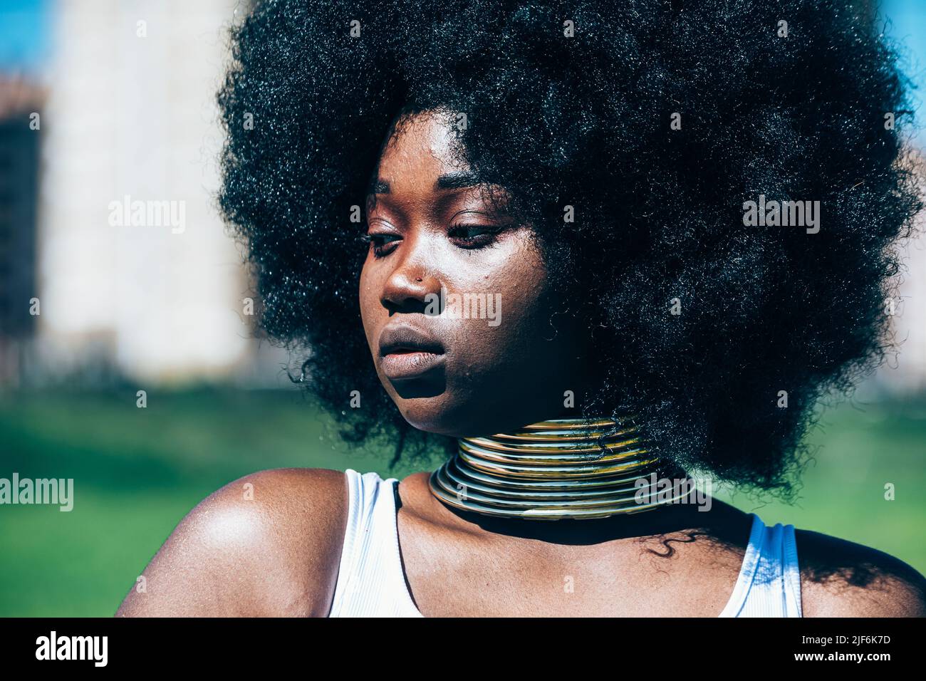 Young black woman in authentic golden necklace and Afro hairstyle looking away on blurred background of countryside Stock Photo