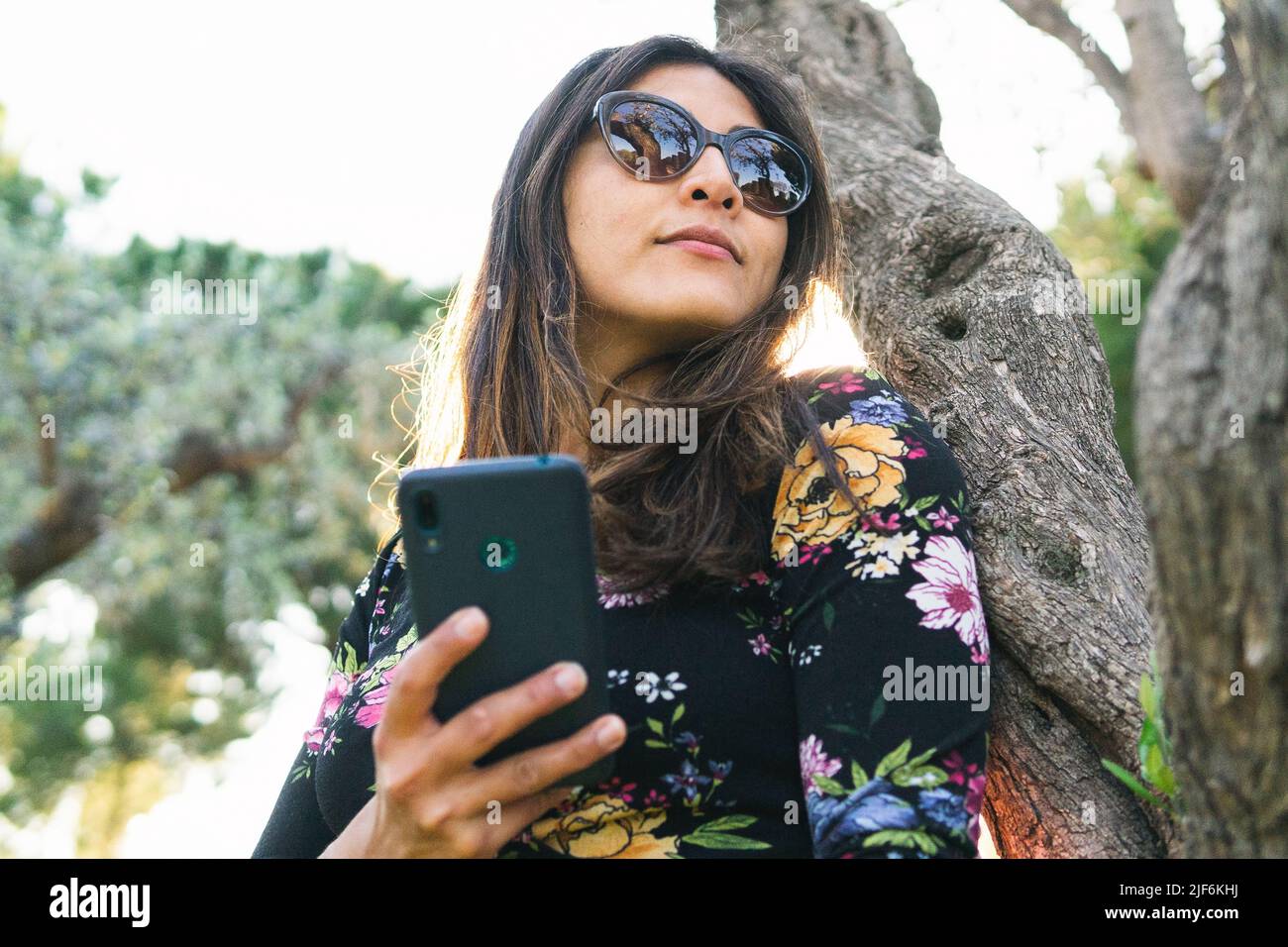 From below ethnic female in sunglasses browsing on smartphone while leaning on tree trunk in sunlit park on summer day Stock Photo