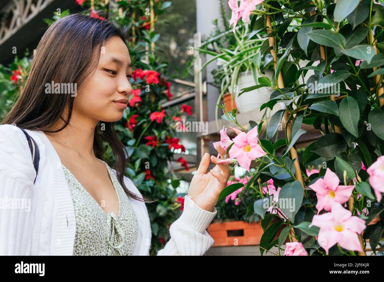 Side view of happy Asian female smelling blooming potted flower while standing near shelves with assorted plants in light floral market Stock Photo