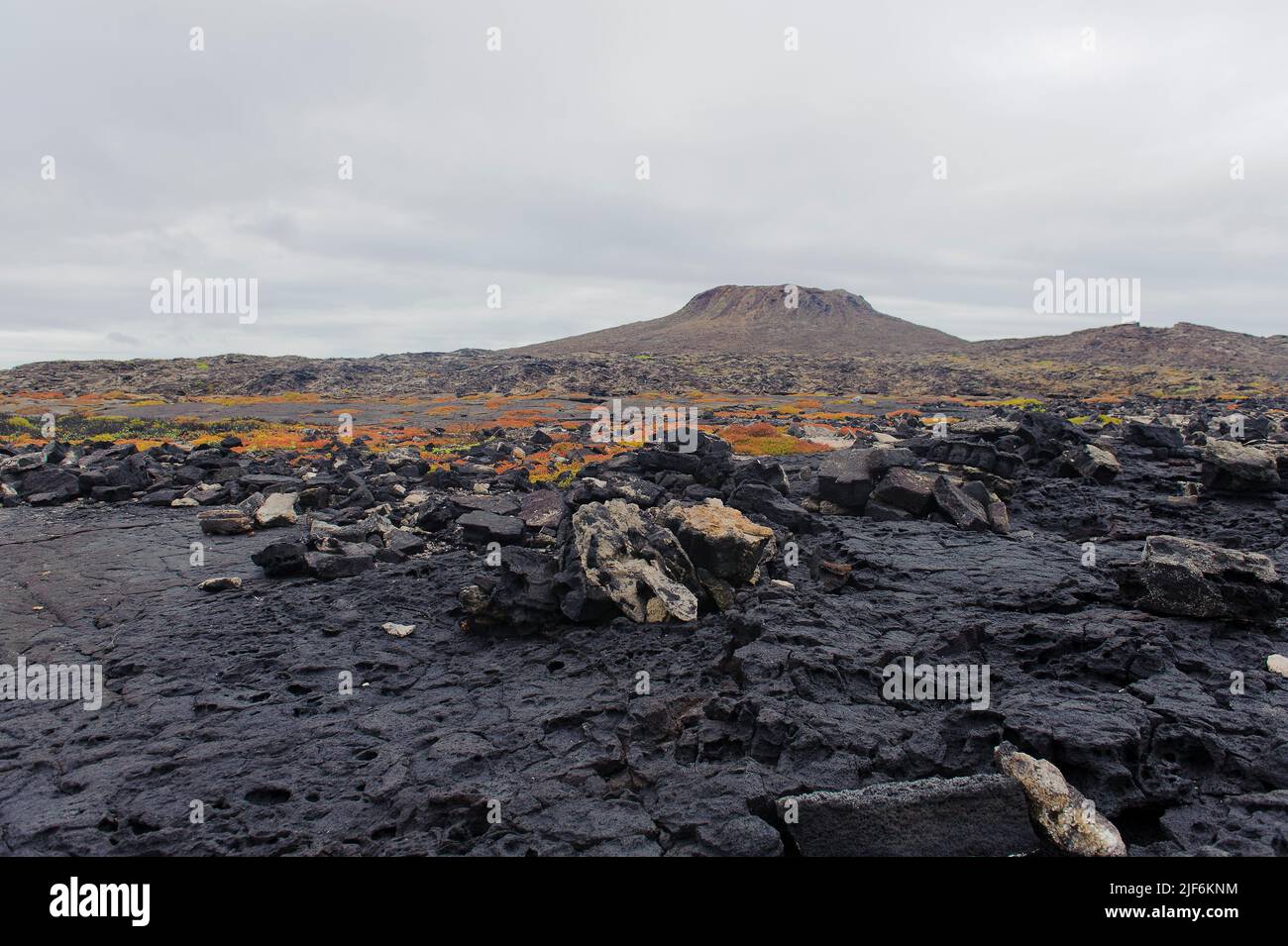 Lave Making New Rocks Lave rocks and vegetation on the small island of Sombrero Chino (off ...