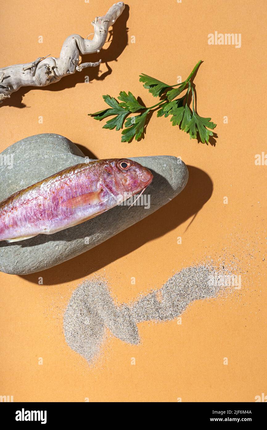 Top view of red mullus barbatus fish placed on rock near dry sticks and sand on orange background Stock Photo