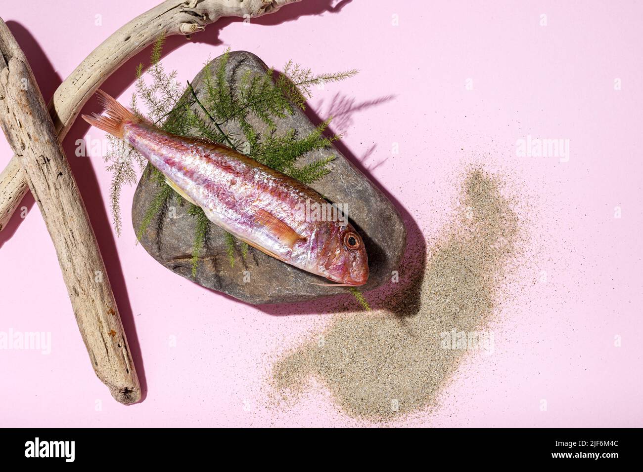 Top view of red mullus barbatus fish placed on rock and fern near dry sticks and sand on pink background Stock Photo
