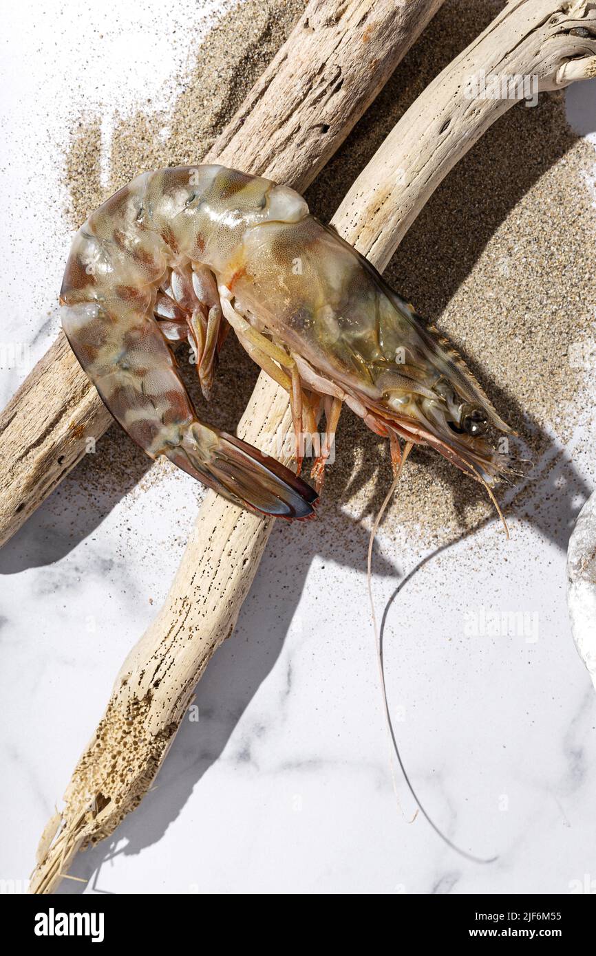 Top view of raw common prawn and driftwood sticks placed near dry sand on marble table in kitchen Stock Photo