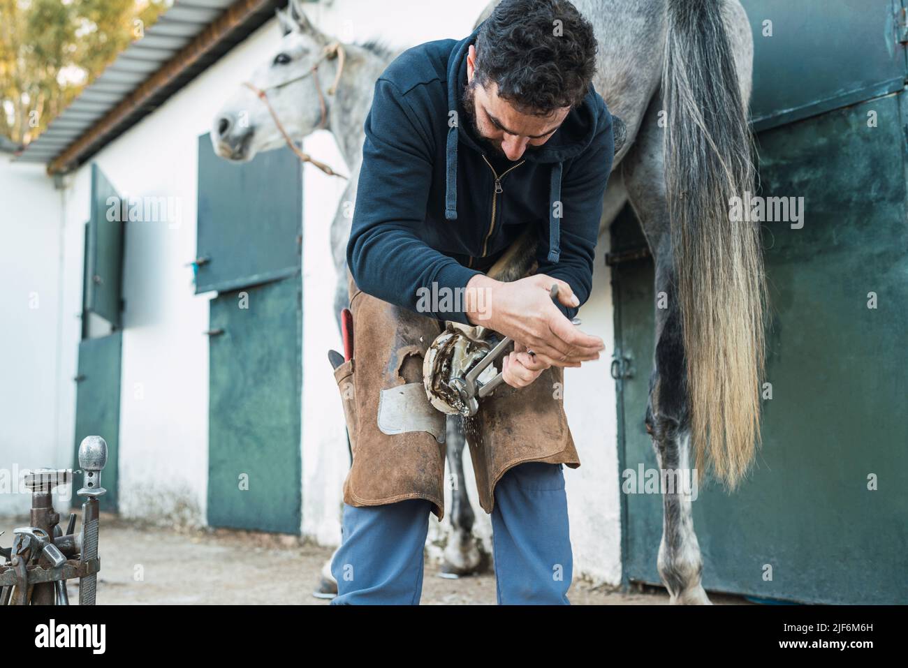 Man in dirty chaps using pliers to remove nails from horse hoof during work in yard outside stable on ranch Stock Photo