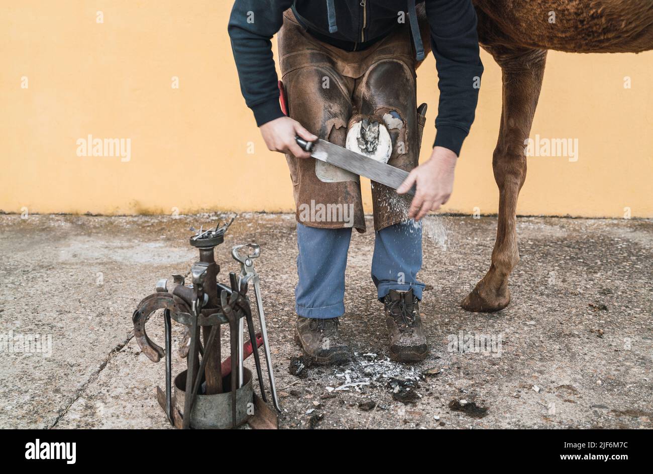 Crop anonymous male in uniform trimming hoof of horse with horseshoe