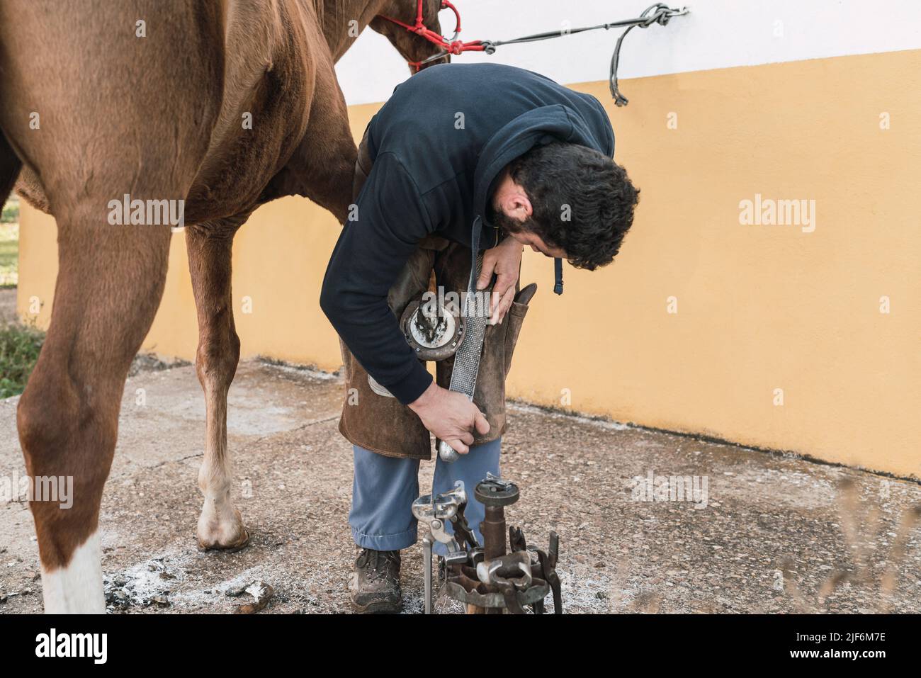 Male in uniform trimming hoof of horse with horseshoe file while