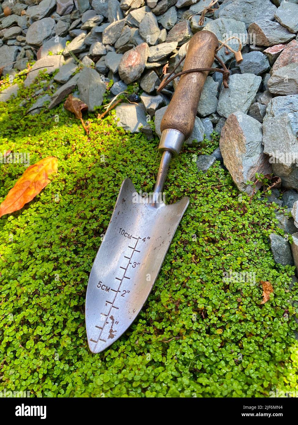 Gardening trowel in a garden Stock Photo Alamy