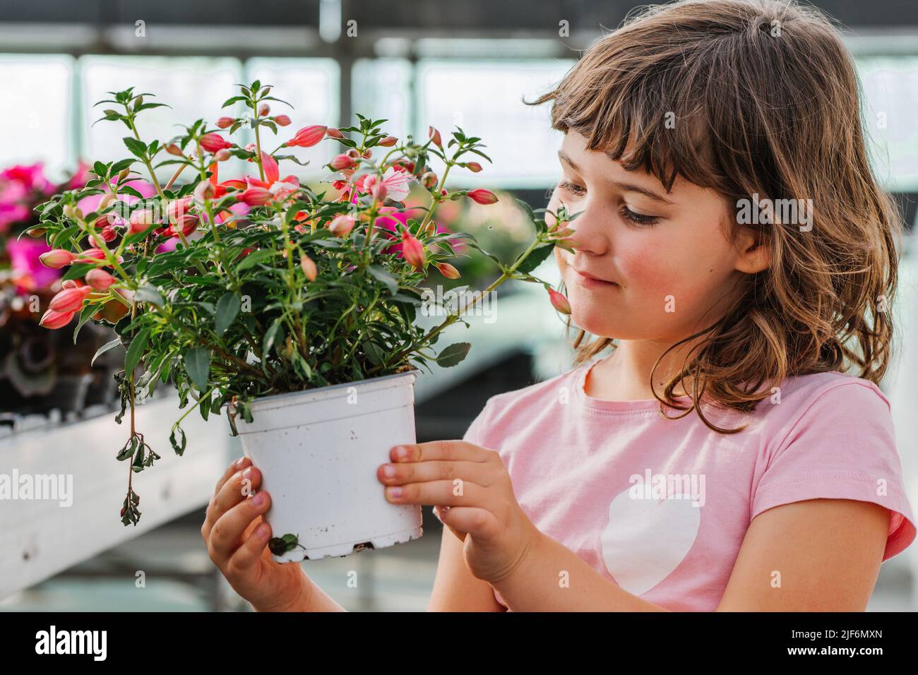 Cheerful cute child with dark hair smiling and holding metal pot with blooming plant in flower shop Stock Photo